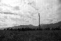 Samuel Putnam negatives, New Guinea; warriors gathered near a kaio on their way to the Liberek; many people under Hellerabet kaio