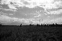 Samuel Putnam negatives, New Guinea; warriors dancing on their way to the Liberek