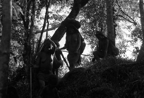 Samuel Putnam negatives, New Guinea; women walking down towards the Elokhere River