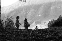 Samuel Putnam negatives, New Guinea; woman and child; silhouette- walking out onto the lighter part near the woods that go down to the Elokhere