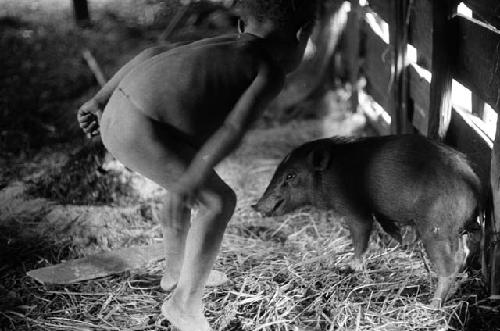 Samuel Putnam negatives, New Guinea; little boy and pig sort of spar with each other