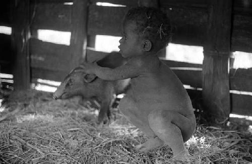 Samuel Putnam negatives, New Guinea; child and pig