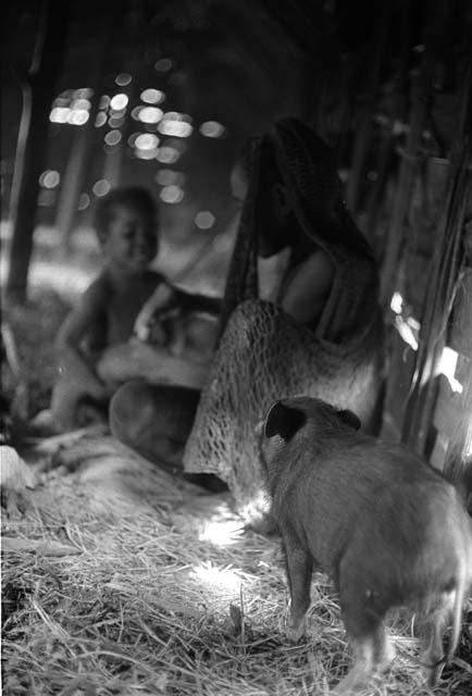 Samuel Putnam negatives, New Guinea; woman and child and pig