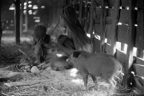 Samuel Putnam negatives, New Guinea; pig and woman and child inside of a hunu