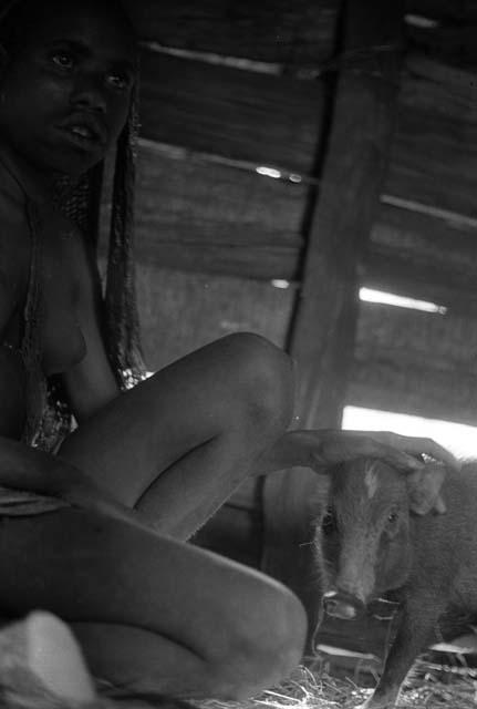 Samuel Putnam negatives, New Guinea; a woman holds a pig near her inside of a hunu