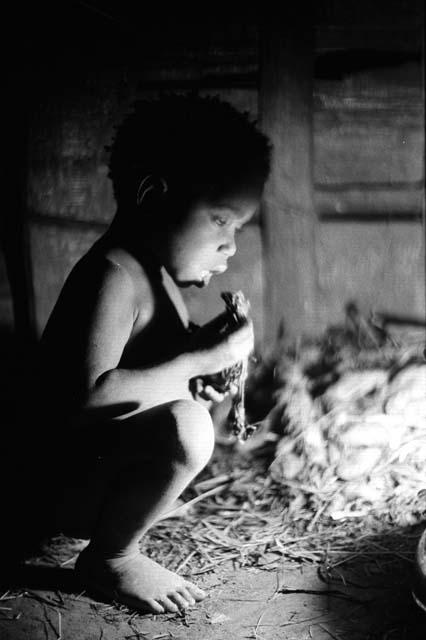 Samuel Putnam negatives, New Guinea; small boy eating inside of hunu