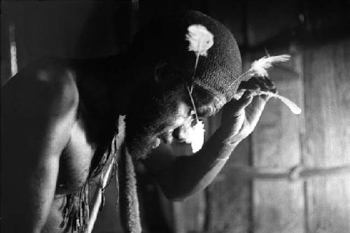 Wali in his honai in Lokoparek; putting feathers into his hair net