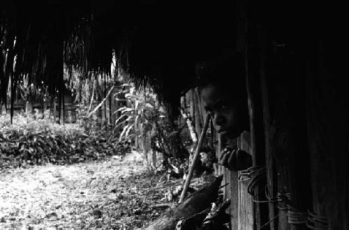 Samuel Putnam negatives, New Guinea; children looking out of the hunu in Wuperainma