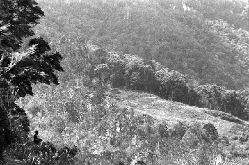 Samuel Putnam negatives, New Guinea; High on Tukumba