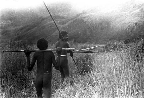 Karl Heider negatives, New Guinea;  Lokoparek; men going home towards Abulupak