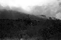 Karl Heider negatives, New Guinea;  Lokoparek; expedition member along path