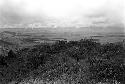 Karl Heider negatives, New Guinea;  Lokoparek; men coming up trail