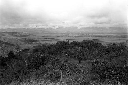 Karl Heider negatives, New Guinea;  Lokoparek; men coming up trail