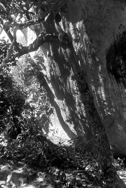 Karl Heider negatives, New Guinea;  Lokoparek; rock shelter