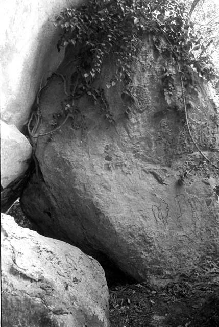 Karl Heider negatives, New Guinea;  Lokoparek; rock shelter