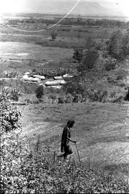 Karl Heider negatives, New Guinea;  Lokoparek; woman walks in a field