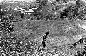 Karl Heider negatives, New Guinea;  Lokoparek; woman walks in a field