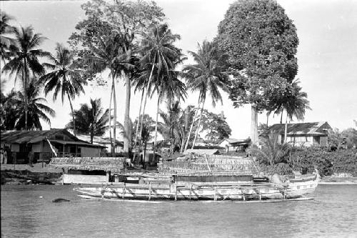 Karl Heider negatives, New Guinea; Biak cattle ranch