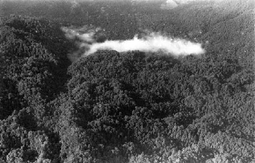 Karl Heider negatives, New Guinea; northern area