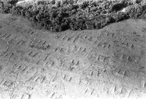 Karl Heider negatives, New Guinea; entering Sentani