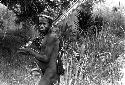 Karl Heider negatives, New Guinea; Warrior