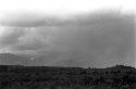 Karl Heider negatives, New Guinea; Men Along Ridgetop