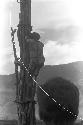 Karl Heider negatives, New Guinea; Man Climbing Kaio