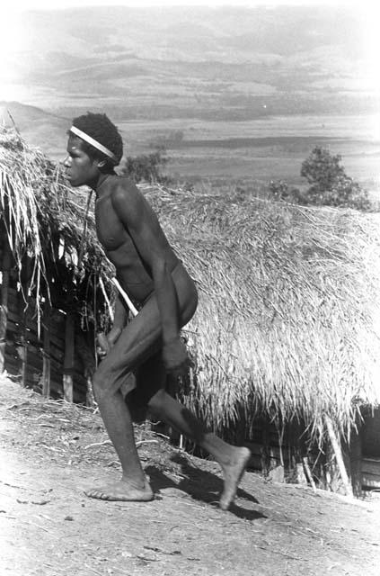 Karl Heider negatives, New Guinea; Boy in Sili