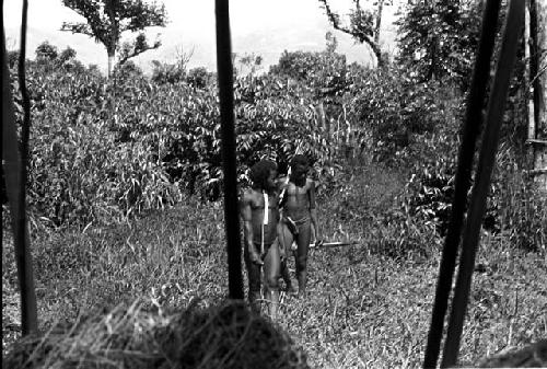 Karl Heider negatives, New Guinea; Near the Frontier