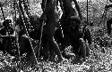 Karl Heider negatives, New Guinea; Men Waiting Near Frontier
