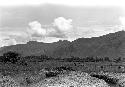 Karl Heider negatives, New Guinea; Across the Fields at a Kaio