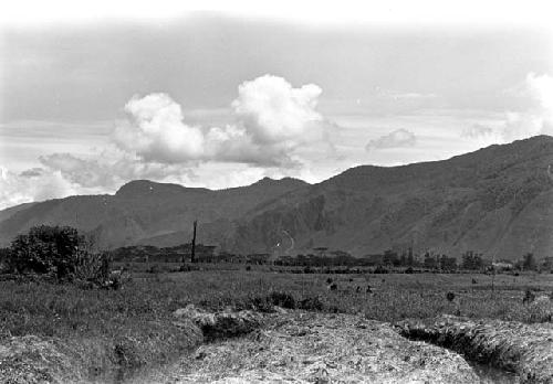 Karl Heider negatives, New Guinea; Across the Fields at a Kaio