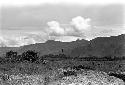 Karl Heider negatives, New Guinea; Across the Fields at a Kaio