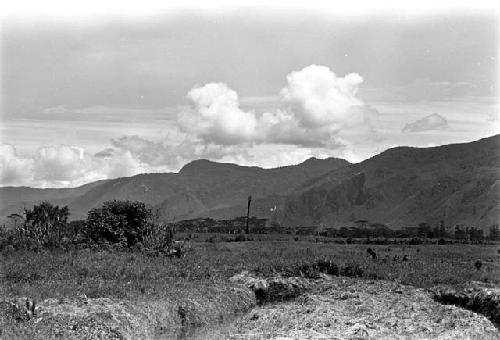 Karl Heider negatives, New Guinea; Across the Fields at a Kaio