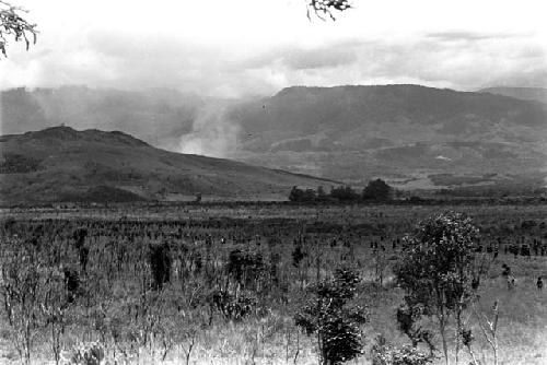 Karl Heider negatives, New Guinea; Tokolik from Sien Tree