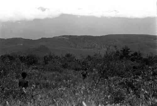 Karl Heider negatives, New Guinea; Looking towards the Warabara