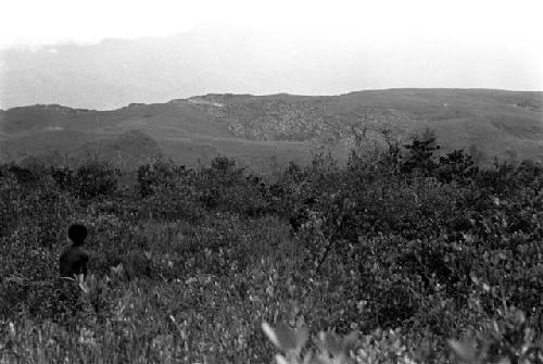 Karl Heider negatives, New Guinea; Looking towards the Warabara