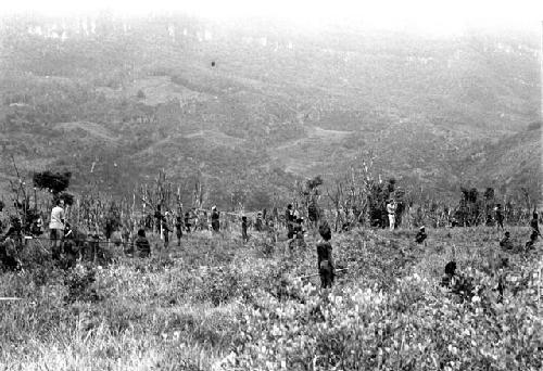 Karl Heider negatives, New Guinea; Looking on the Liberek; Robert Gardner can be seen