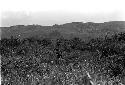 Karl Heider negatives, New Guinea; Men fighting in swamp