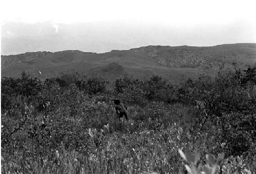 Karl Heider negatives, New Guinea; Men fighting in swamp