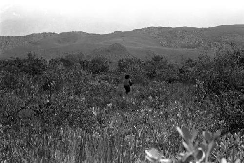 Karl Heider negatives, New Guinea; Men fighting in swamp