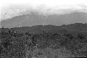 Karl Heider negatives, New Guinea; Men moving towards front