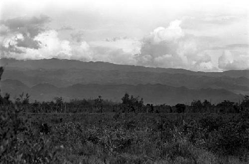 Karl Heider negatives, New Guinea; Wittaia on the Tokolik