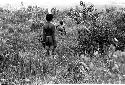 Karl Heider negatives, New Guinea; Moving towards enemy