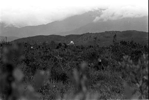 Karl Heider negatives, New Guinea; Action in the swamp area