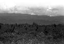 Karl Heider negatives, New Guinea; Men fighting