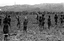 Karl Heider negatives, New Guinea; Many warriors watching