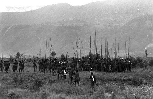 Karl Heider negatives, New Guinea; Large group of warriors waiting