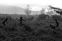 Karl Heider negatives, New Guinea; Boys playing