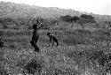 Karl Heider negatives, New Guinea; Boys throwing spears